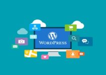 Ücretsiz WordPress Eklentisi Kullanırken Dikkat Edilmesi Gerekenler